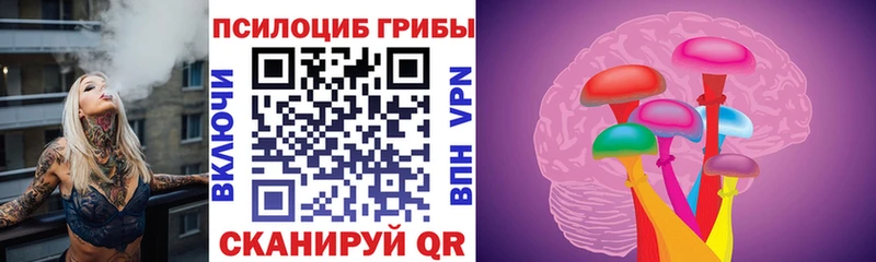 купить закладку  Обнинск  Псилоцибиновые грибы прущие грибы 